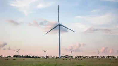 banner_web5.jpg