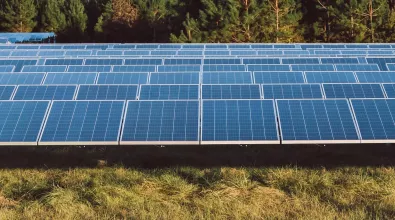 timberroad_solar-banner_web.jpg