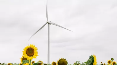 wind_turbine_losmirasoles01.jpg
