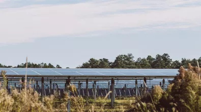 solar_banner_grass_web.jpg