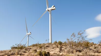 wind_banner_desert_hill_web.jpg