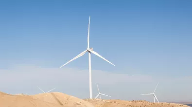 wind_banner_dune_web.jpg