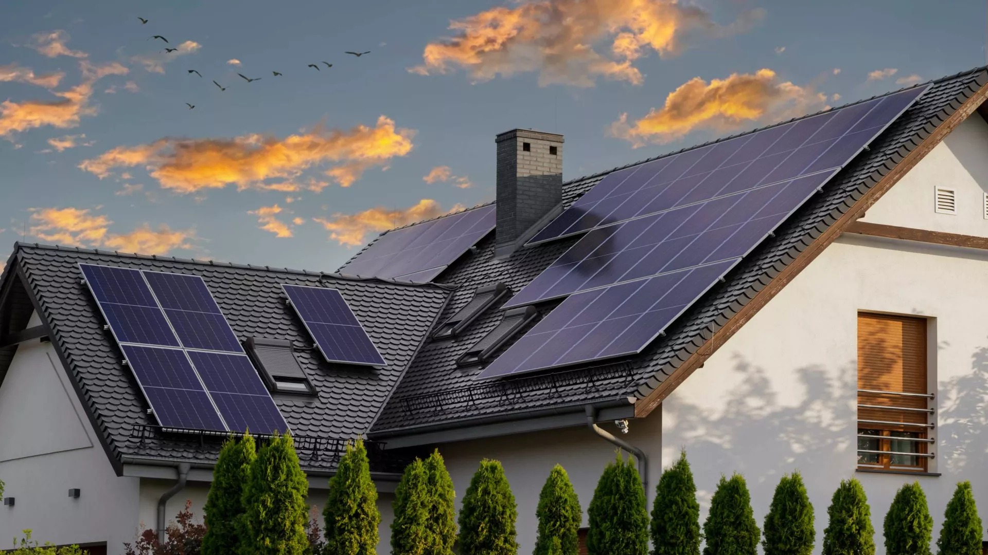 distributed%20solar_header%202.jpg