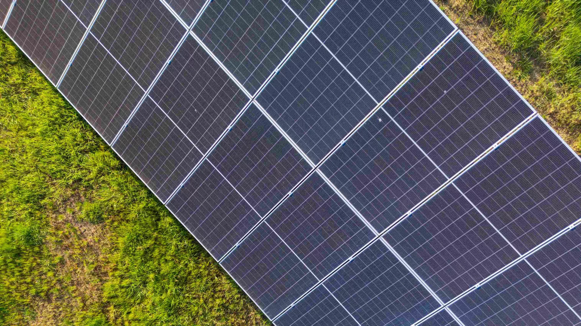 DJI_0875%202_11zon_0.jpg