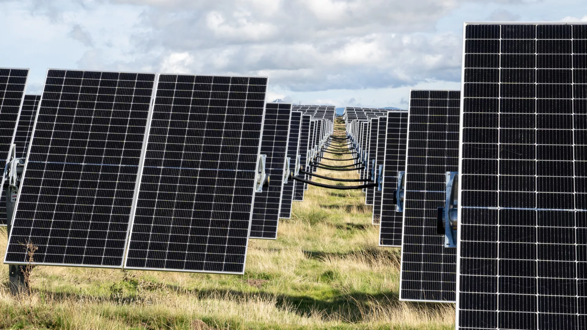 EDPRSolarPark.jpg