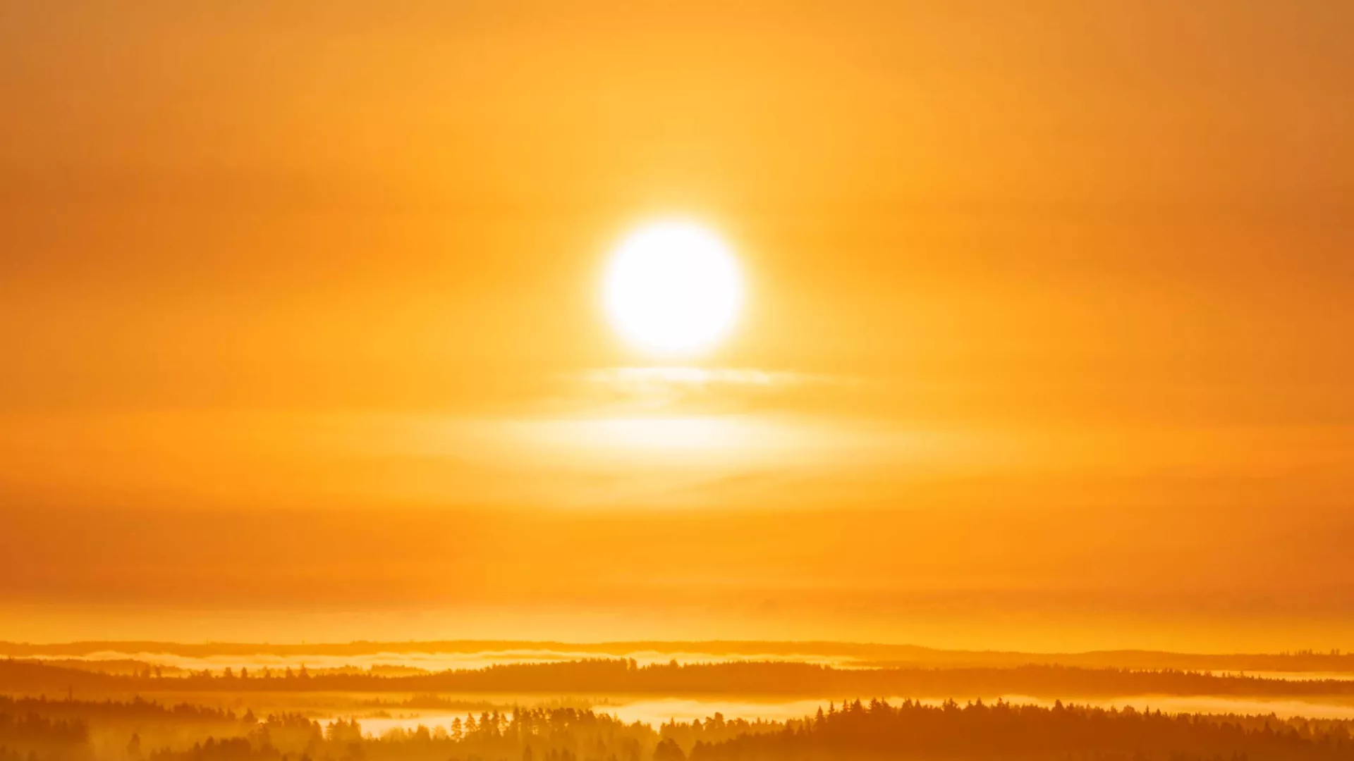 Header-Sol%20%282%29.jpg