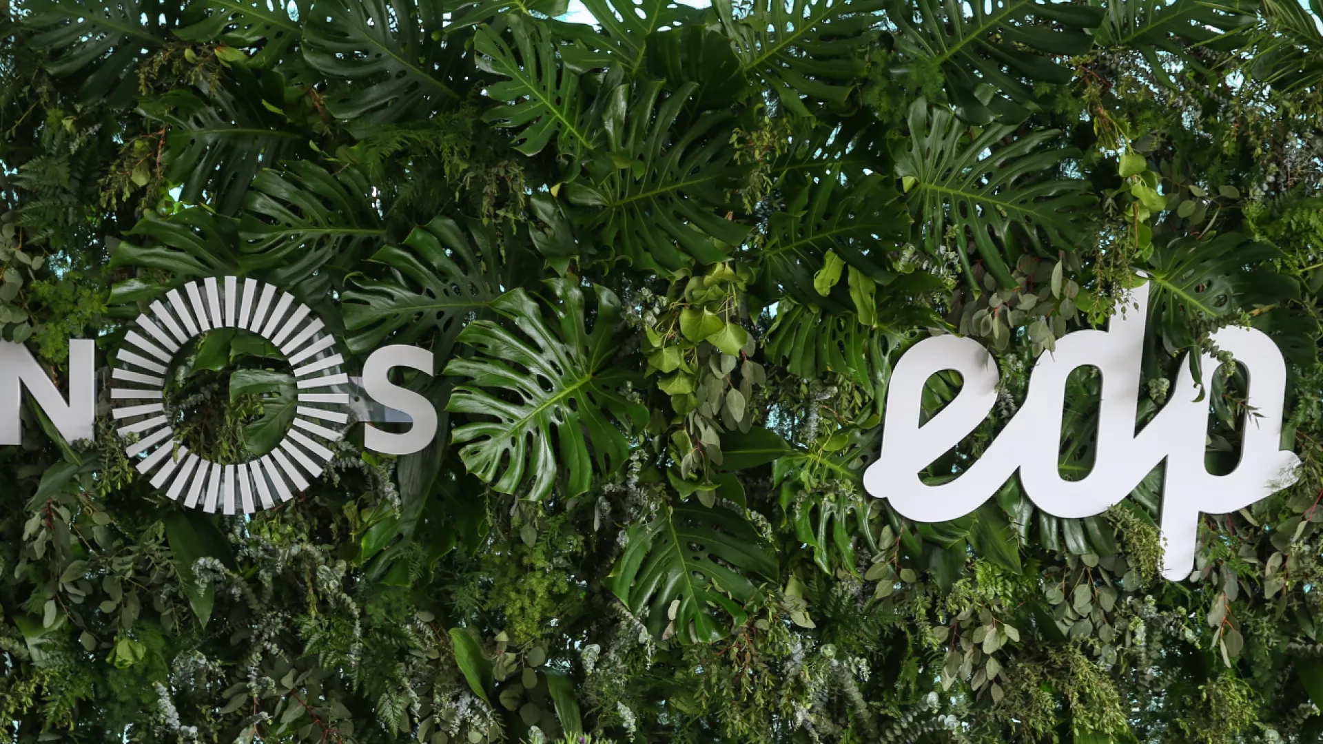 NOS_EDP_0.png