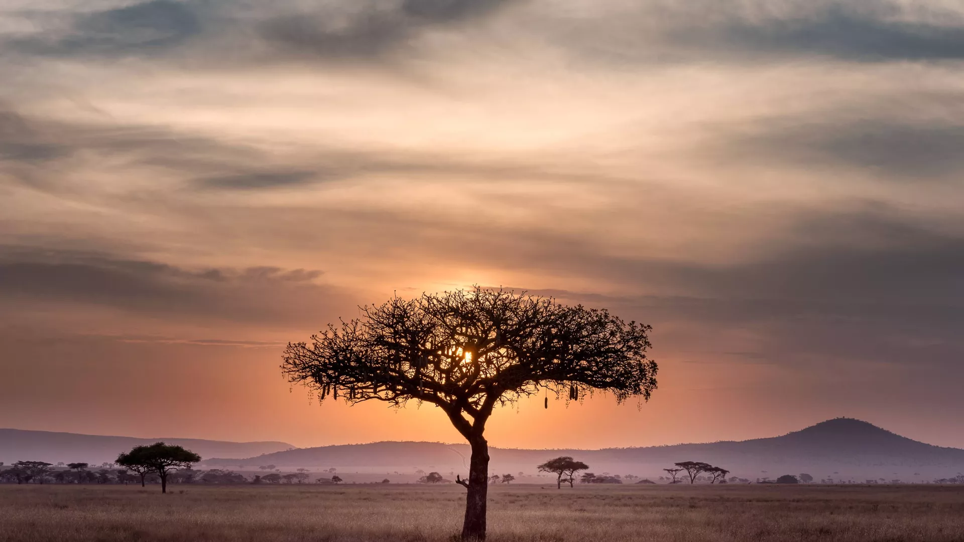 africa%20sun_01_0.jpg