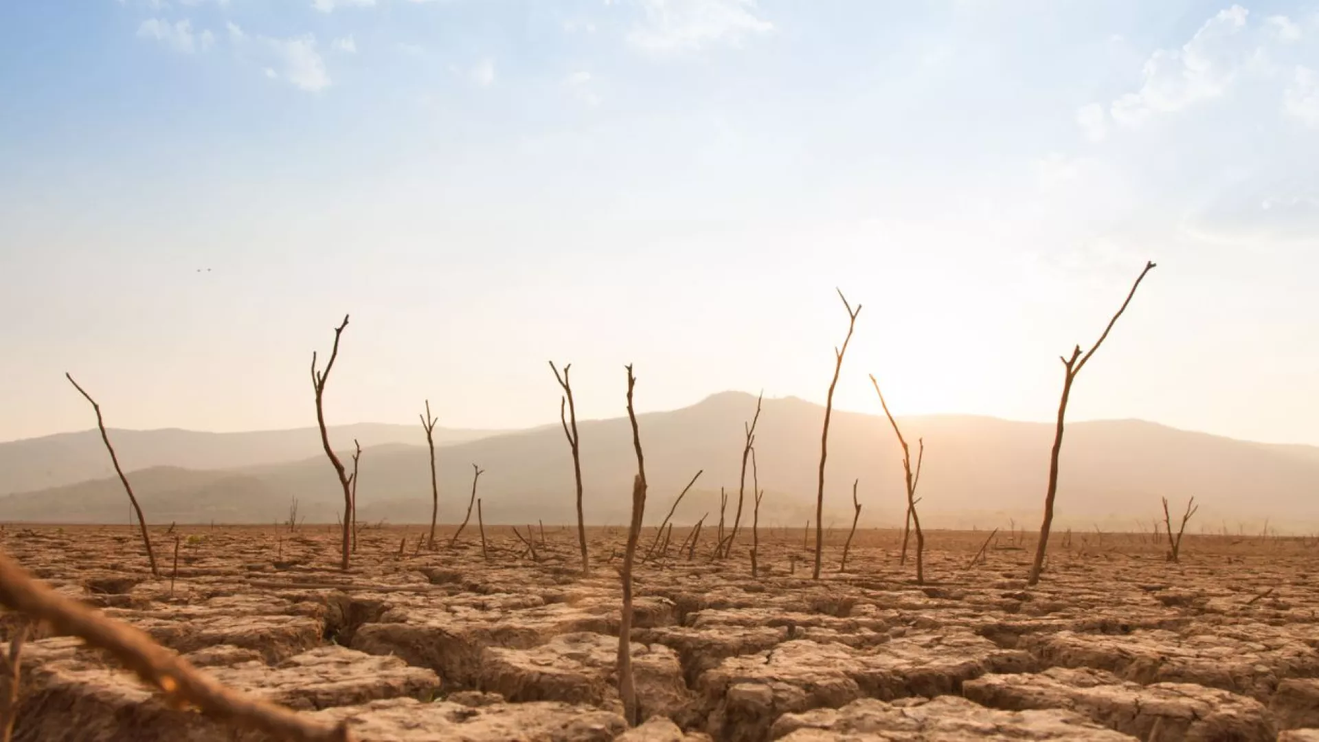 climate%20change.jpg