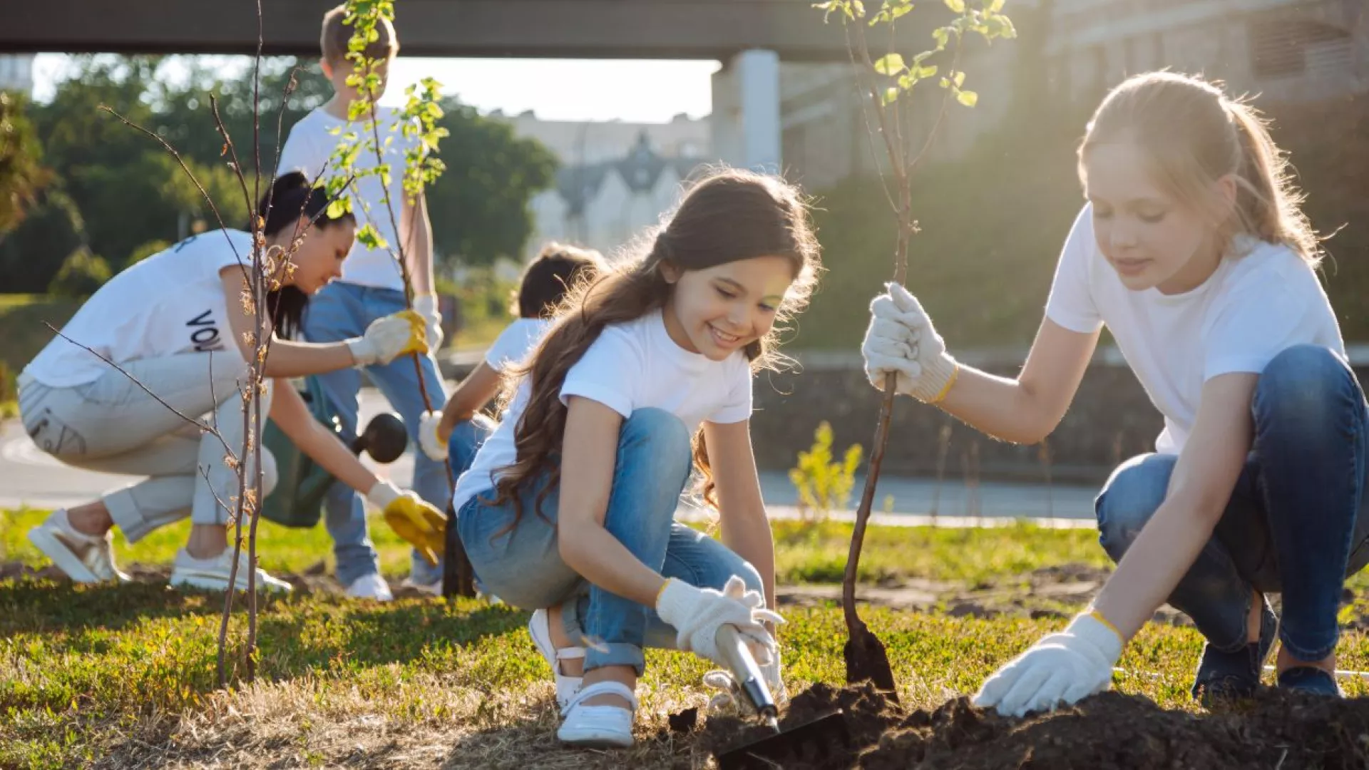 environmental%20volunteering.jpg