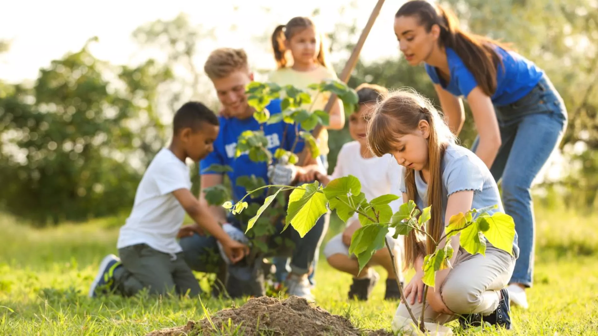 environmental-education.jpg