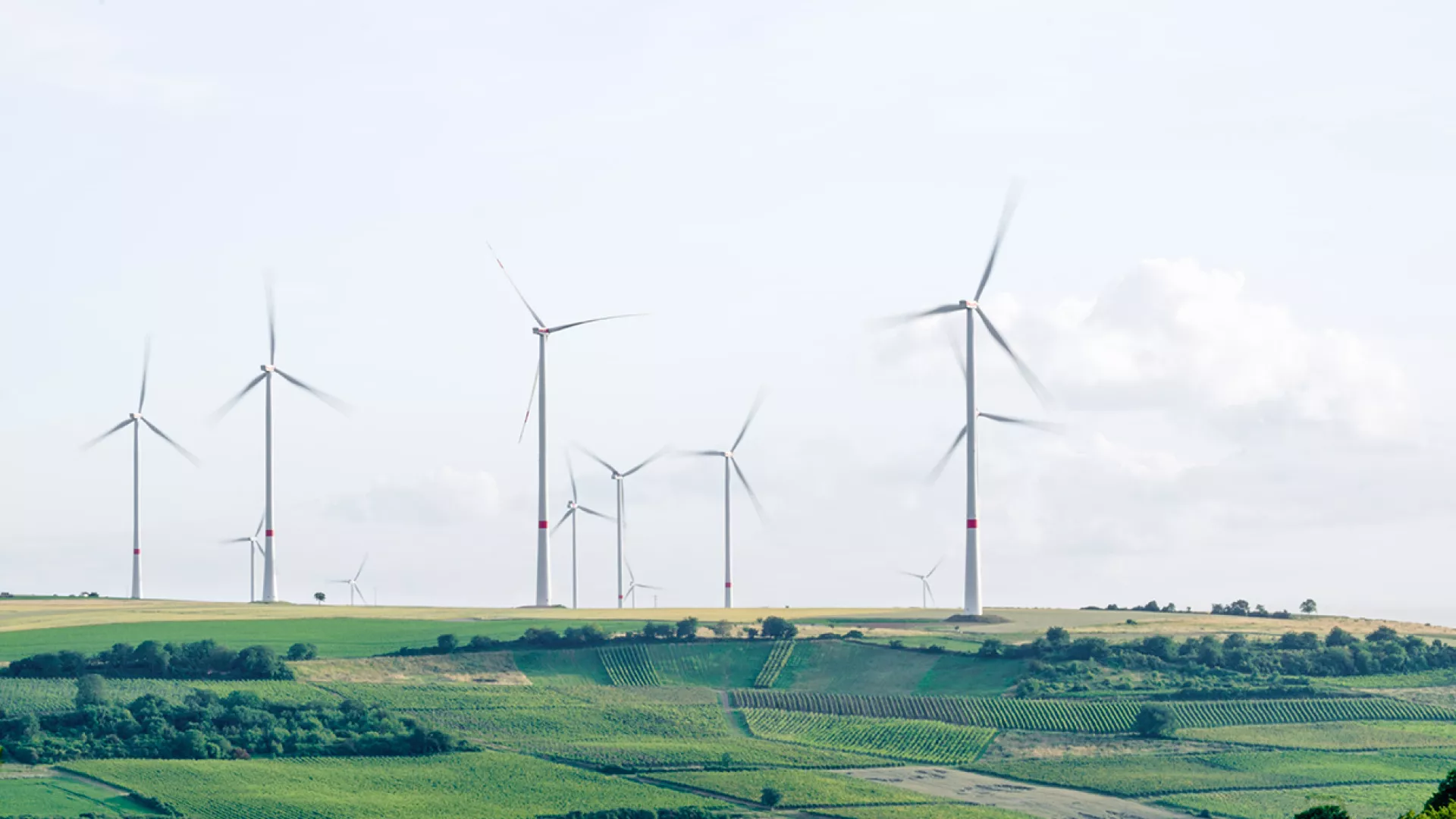 eolicas-edp-energia-renovavels.jpg