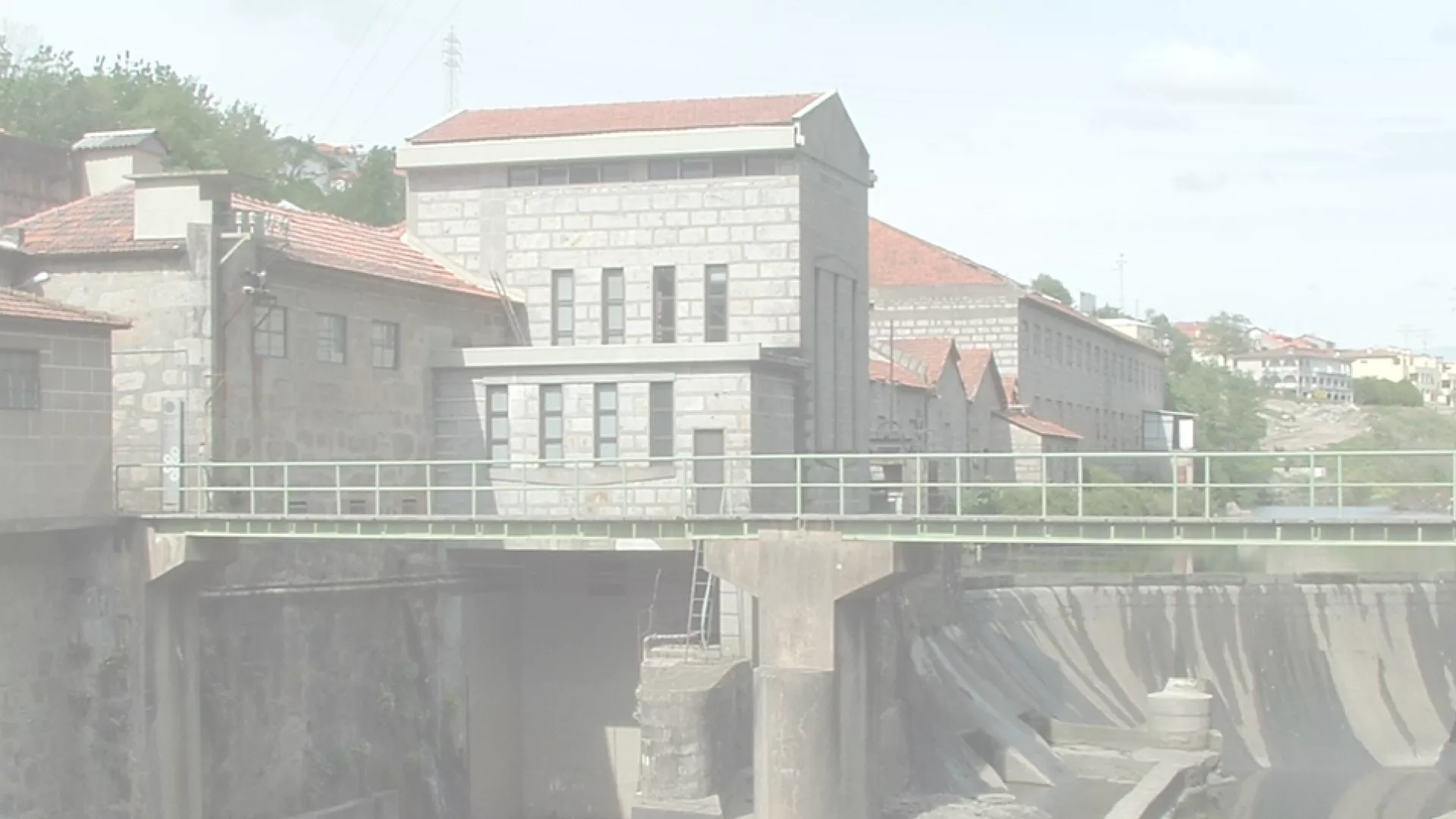 header-canicos.png