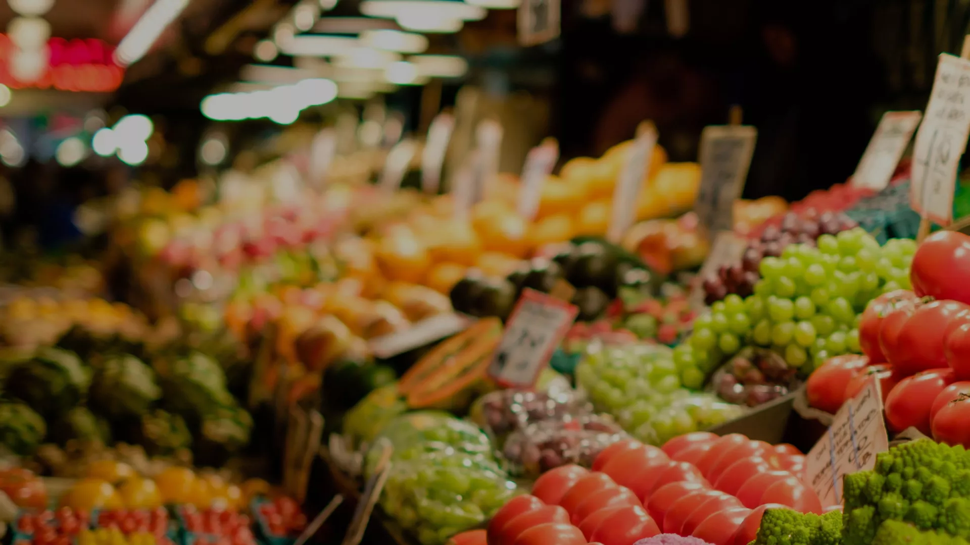 header-economia-circ.jpg