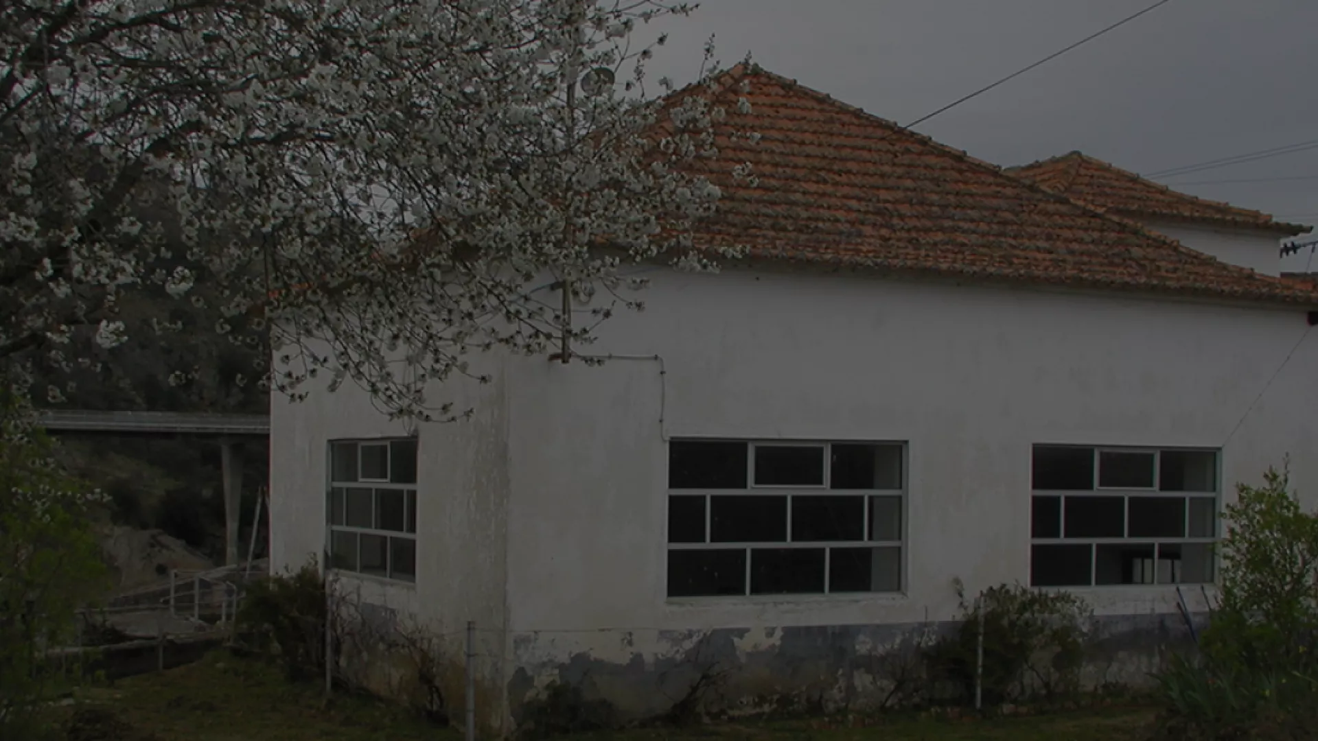 header_riba_coa.png