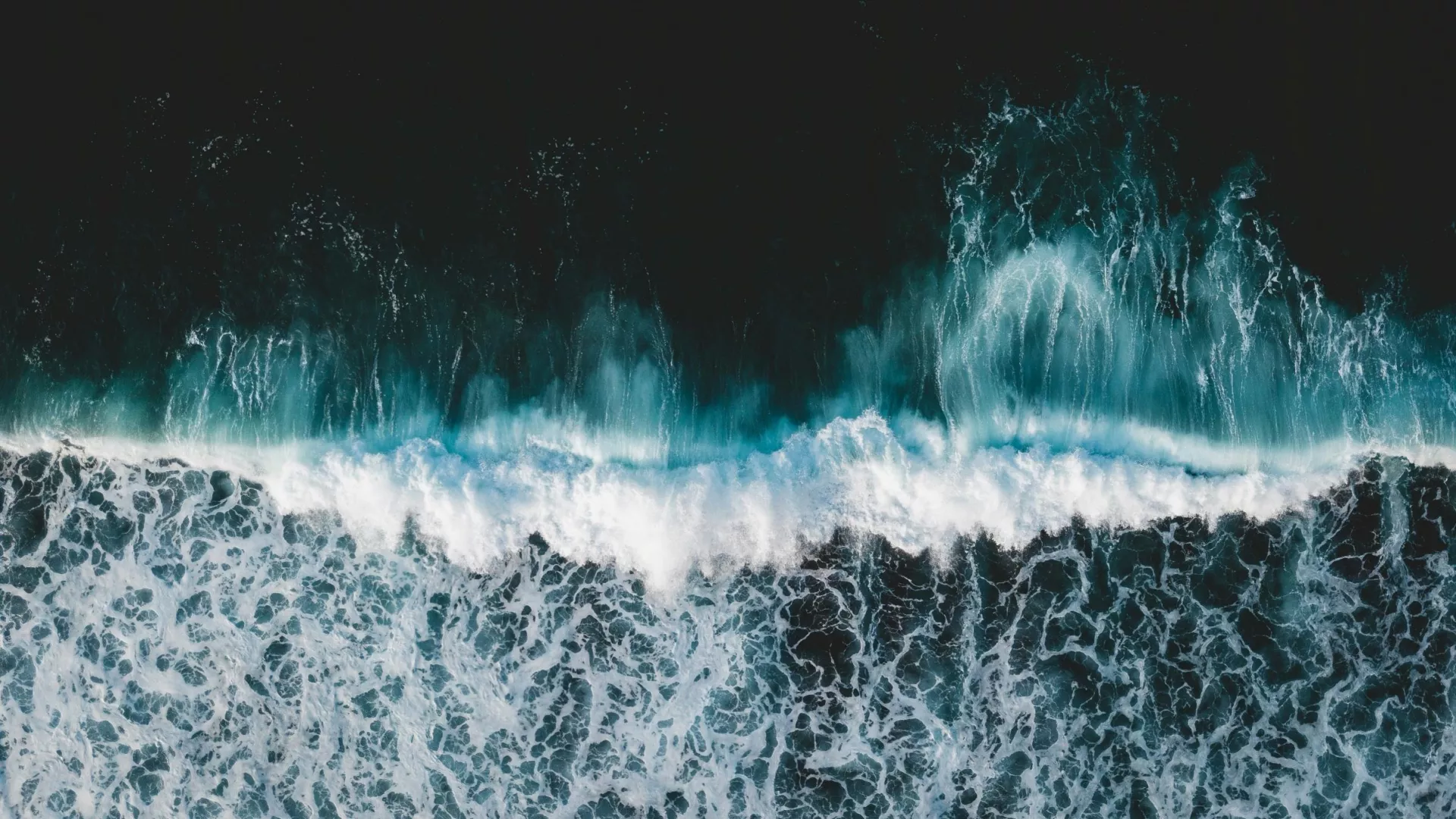 header_surf_2.jpg