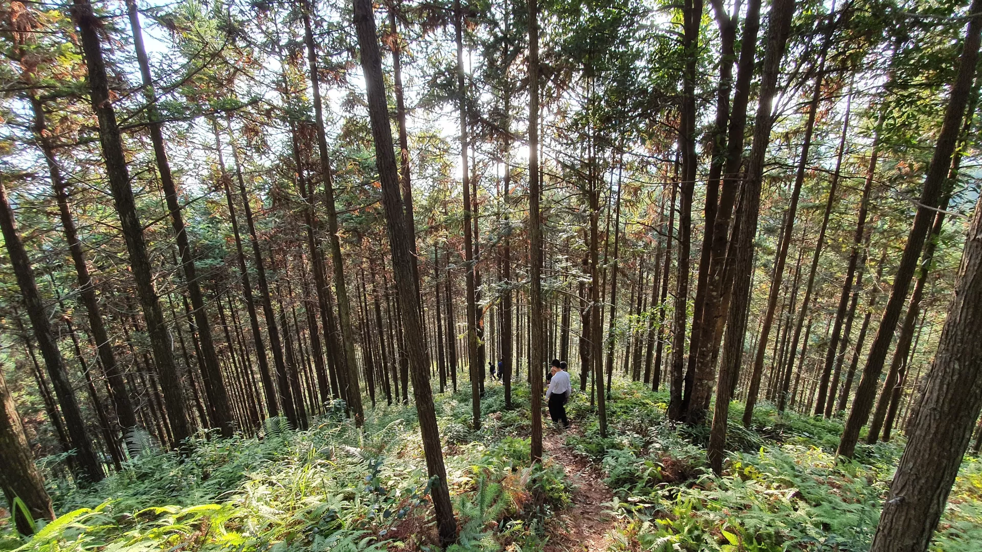 ken-shono-_hlI1eHnH9E-unsplash.jpg