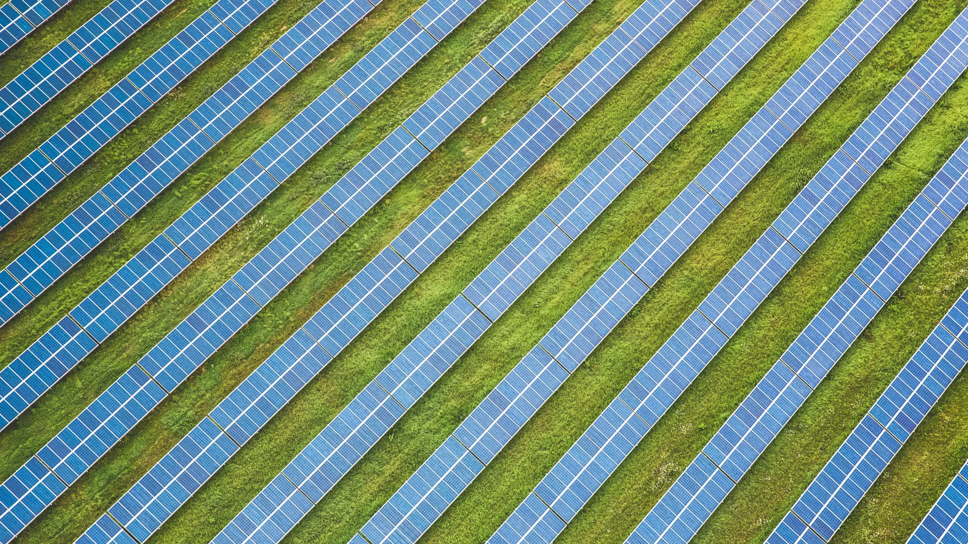 markus-spiske-d7FbDJkJSFw-unsplash_0.jpg