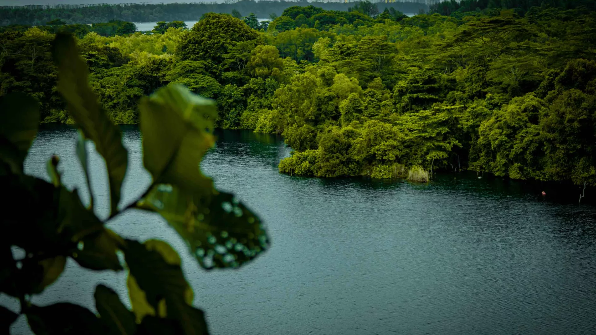 pulau_200kb_header.jpg