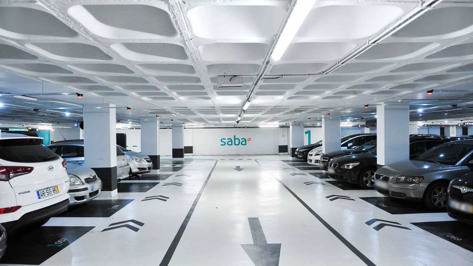saba_reduzido_6.jpg