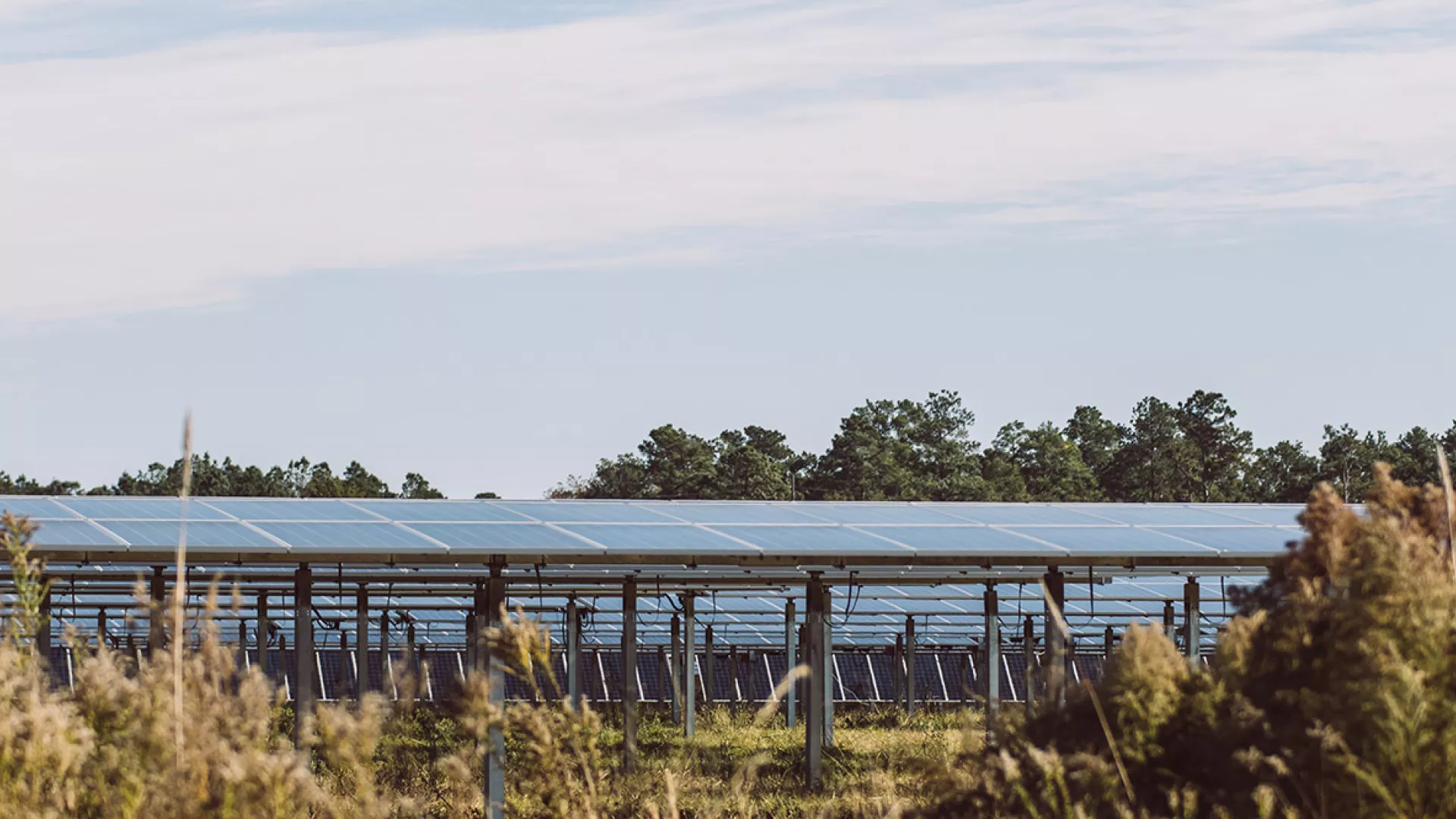 solar_banner_grass_web.jpg