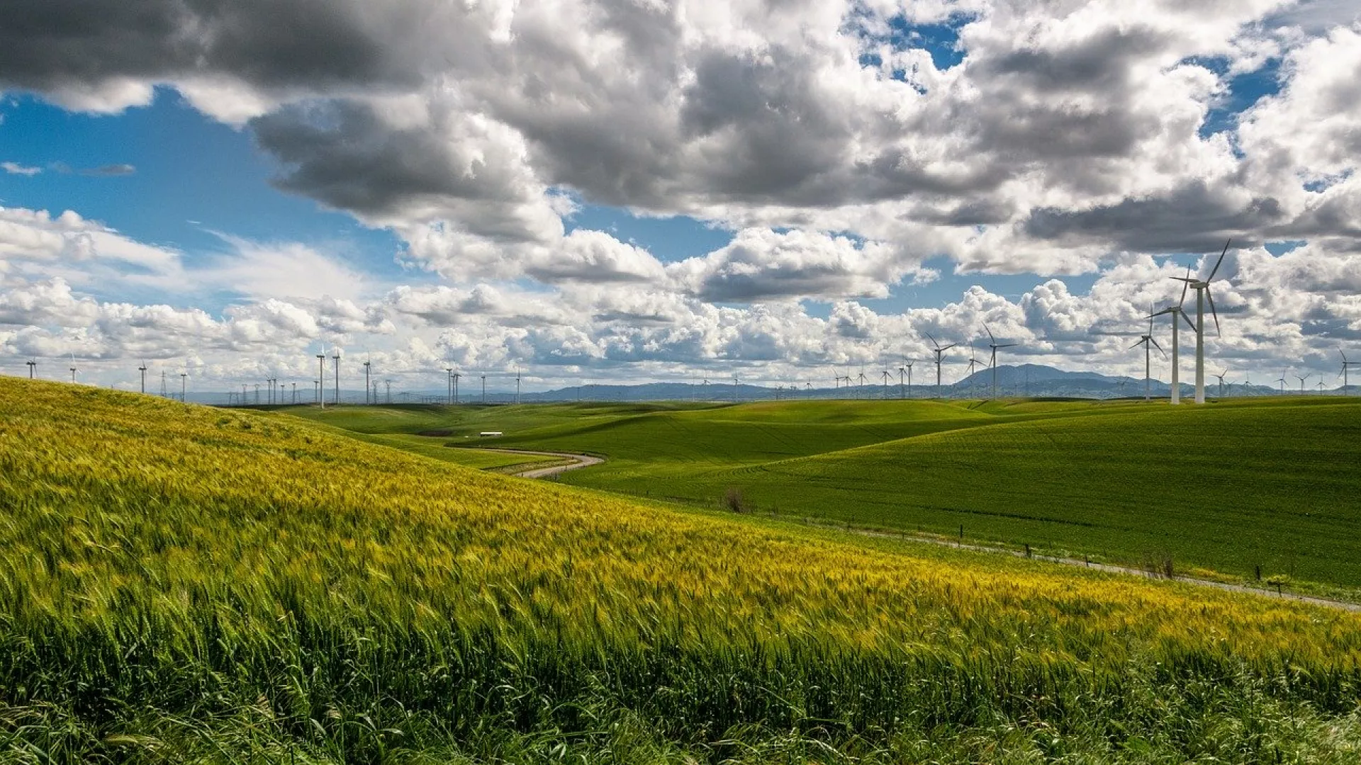wind-farm-1209784_1280.jpg