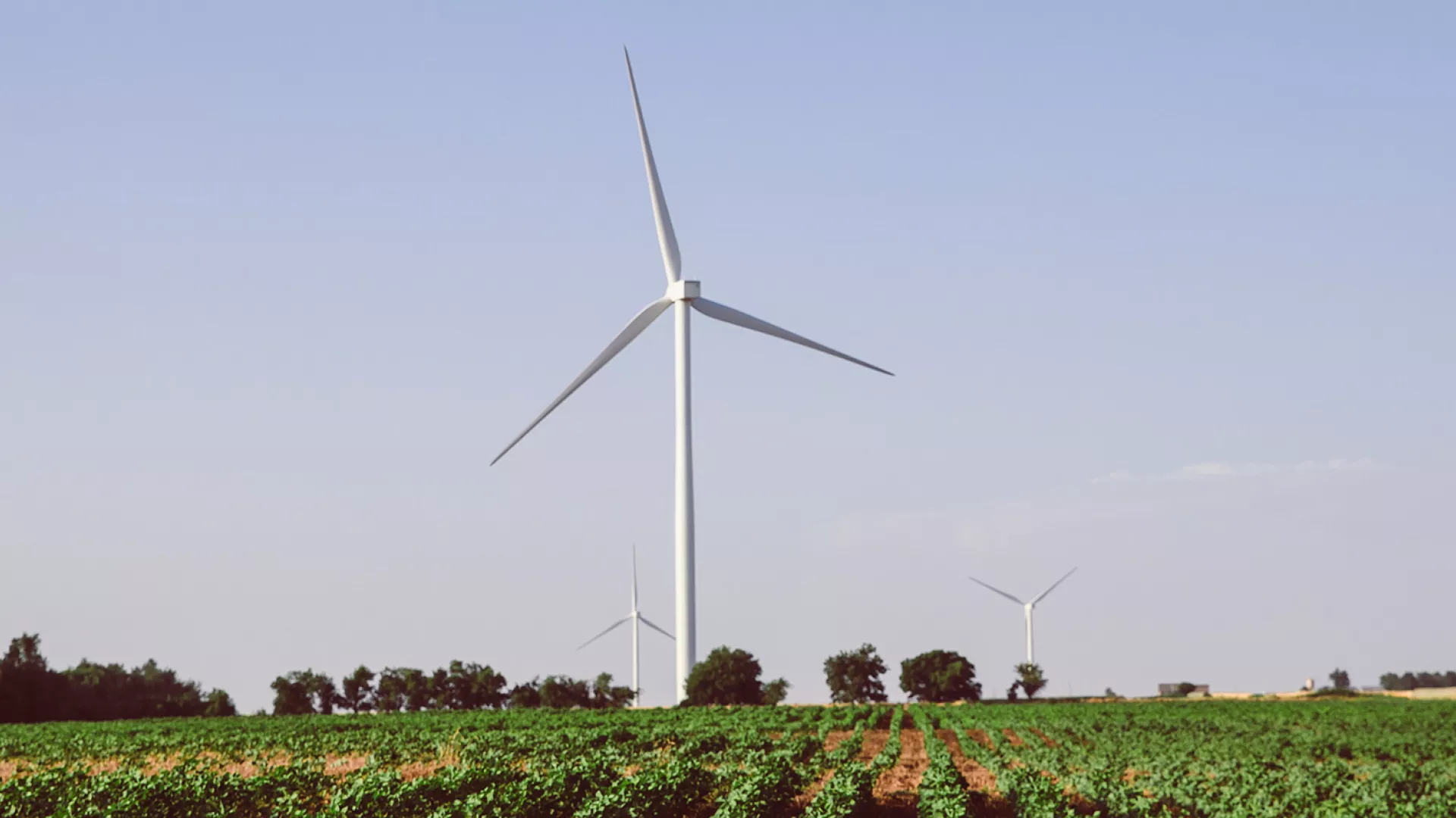 wind_banner_crop_web.jpg