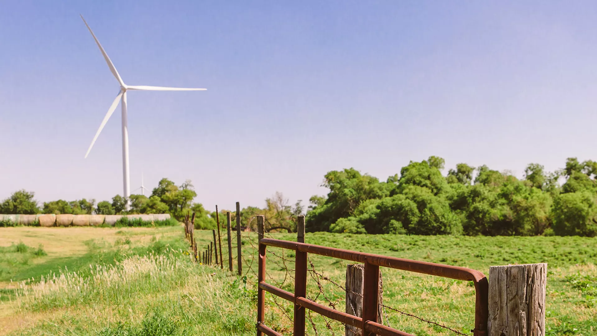 wind_banner_fence_web.jpg
