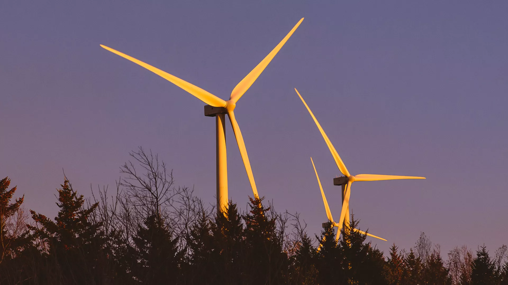 wind_banner_sunset2_web.jpg