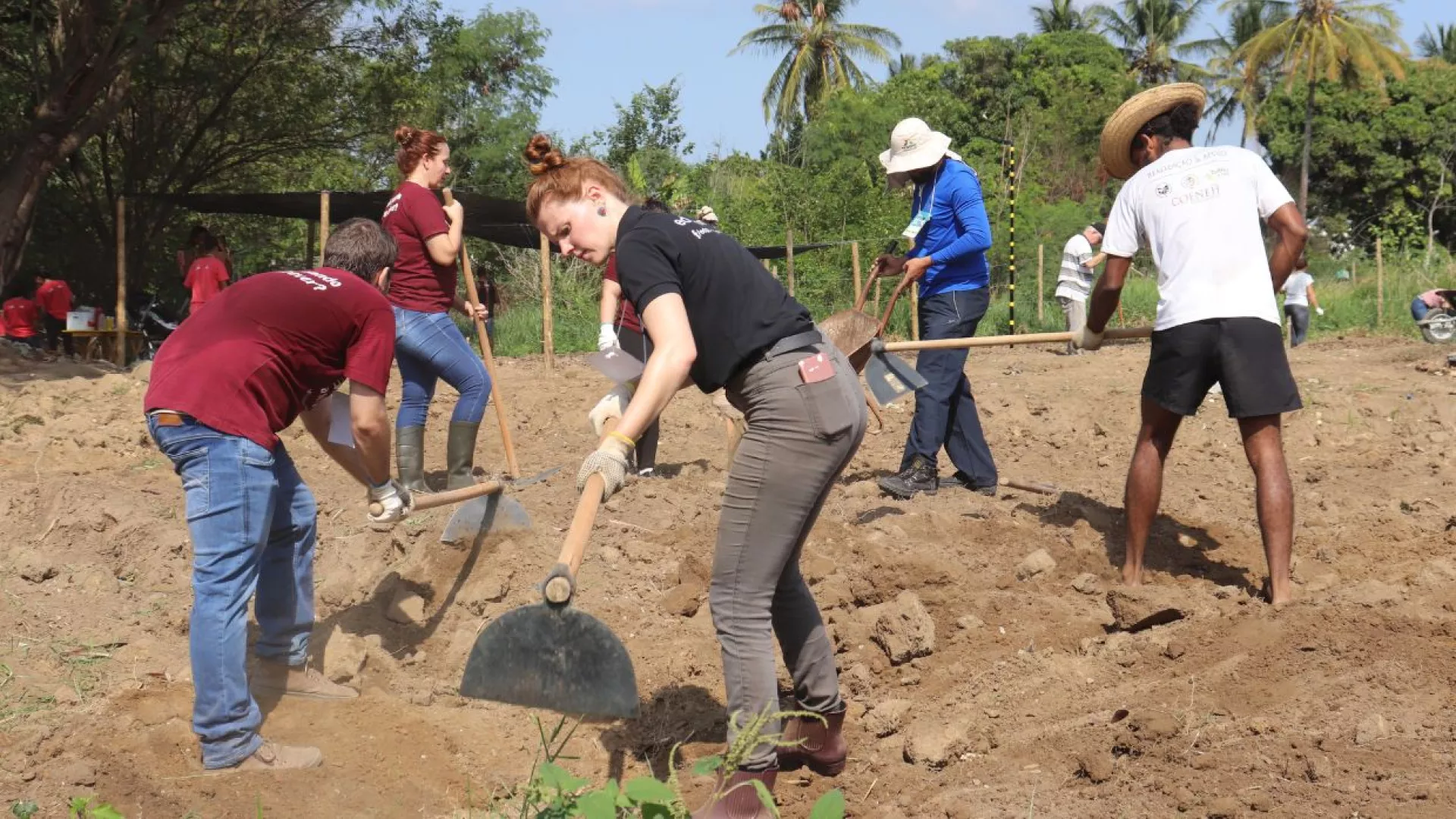 Community%20Vegetable%20Gardens%20Ourimar.jpg