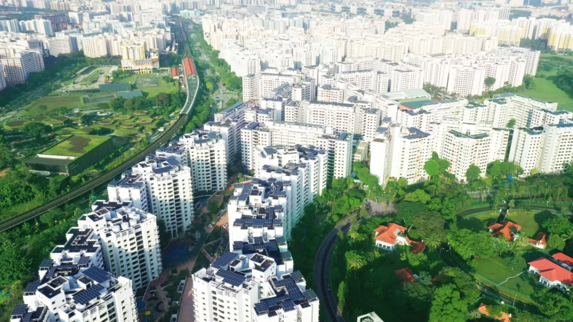 NDP%209.JPG