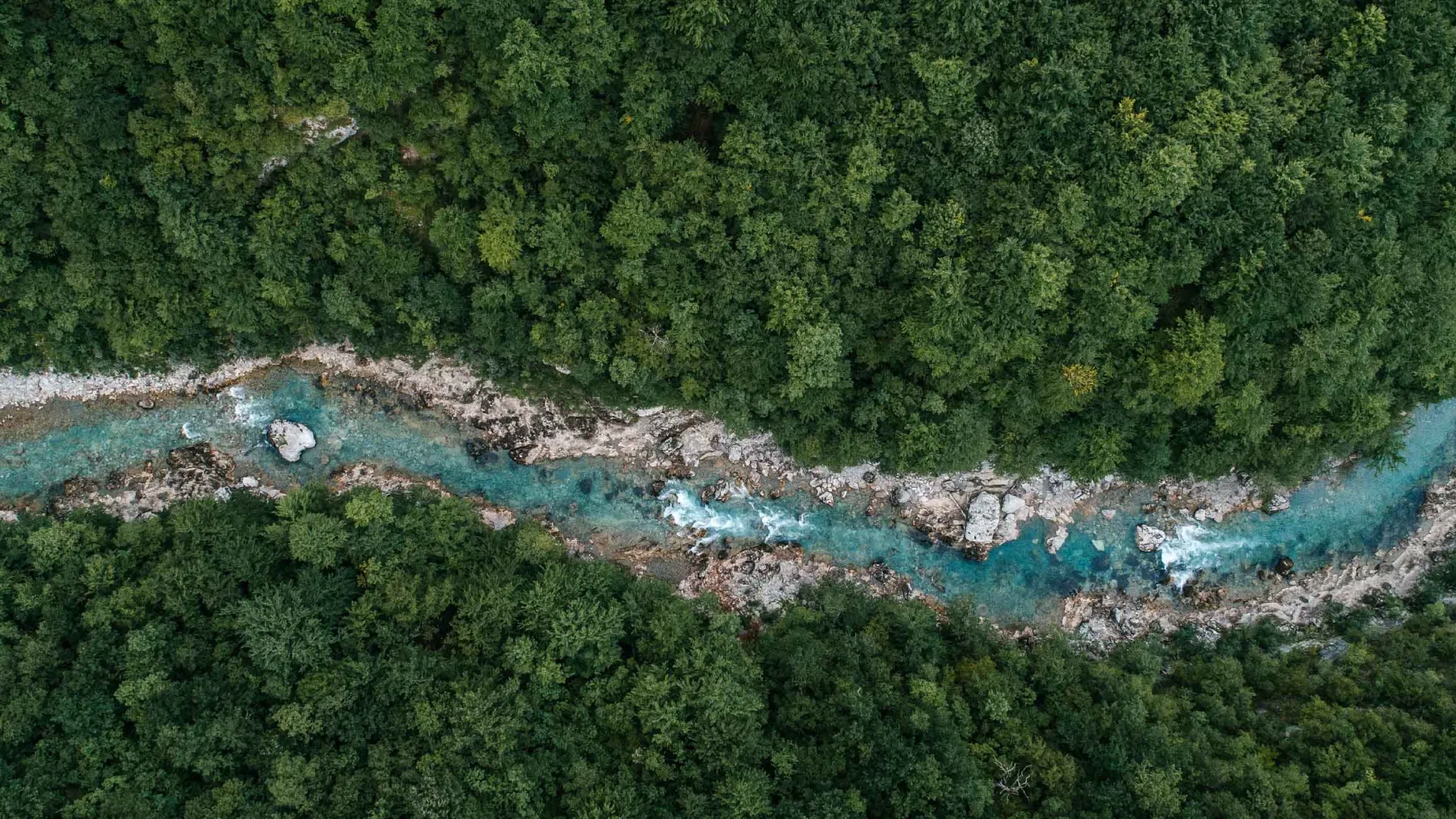 Nature_Stream_decarbonization.jpg