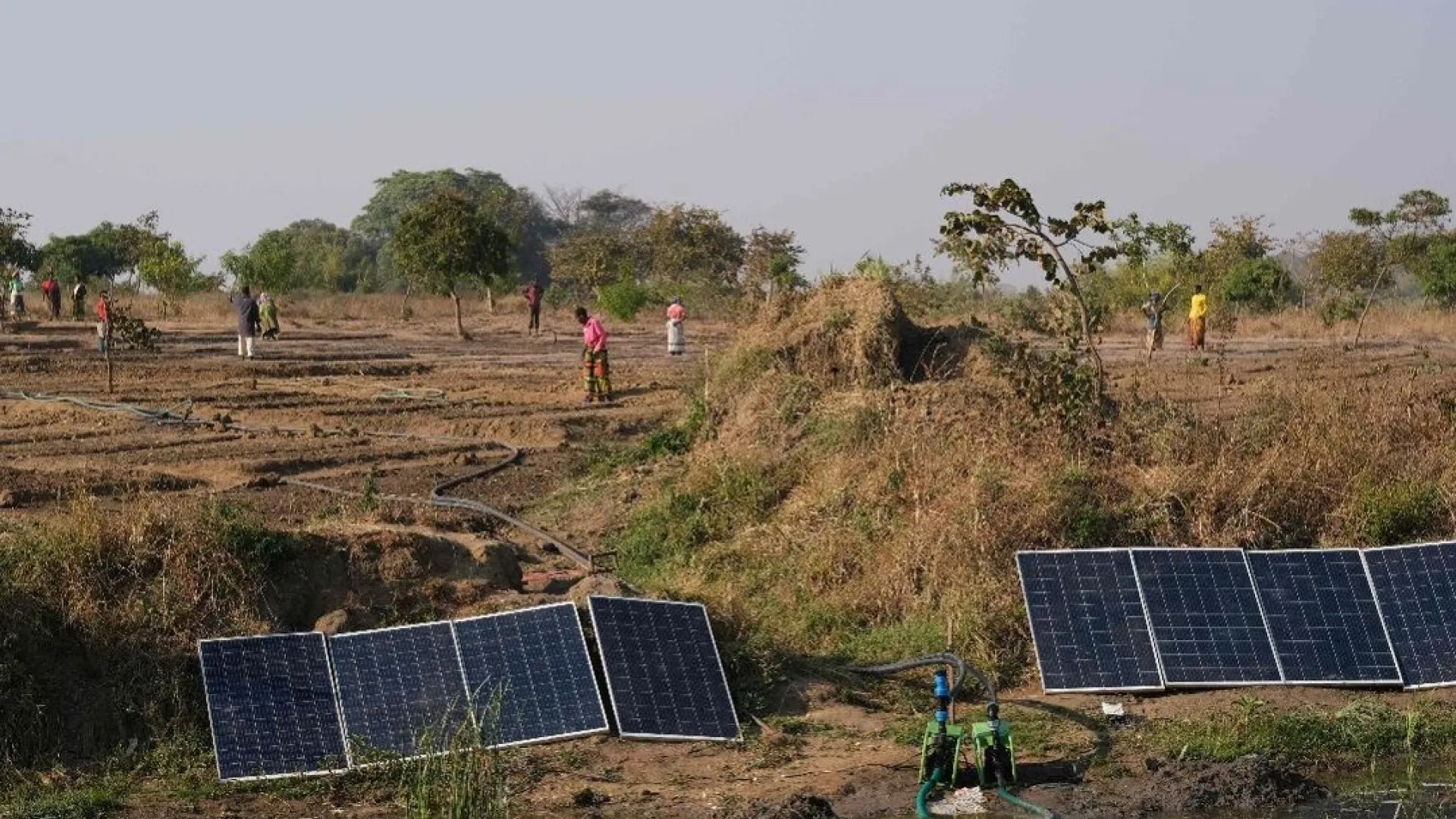 Proyecto%20%C3%81frica%20y%20Brasil_0.jpg