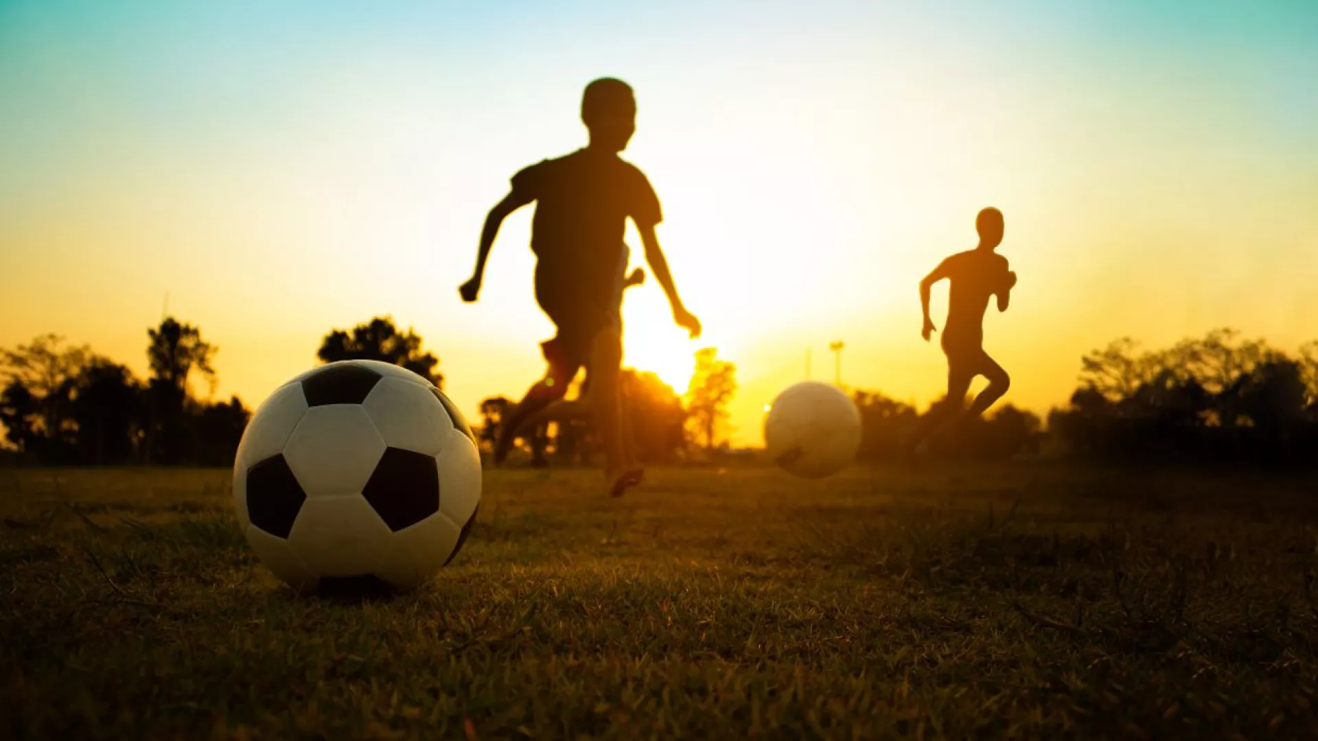 Sports%20for%20Life%20Project.jpg