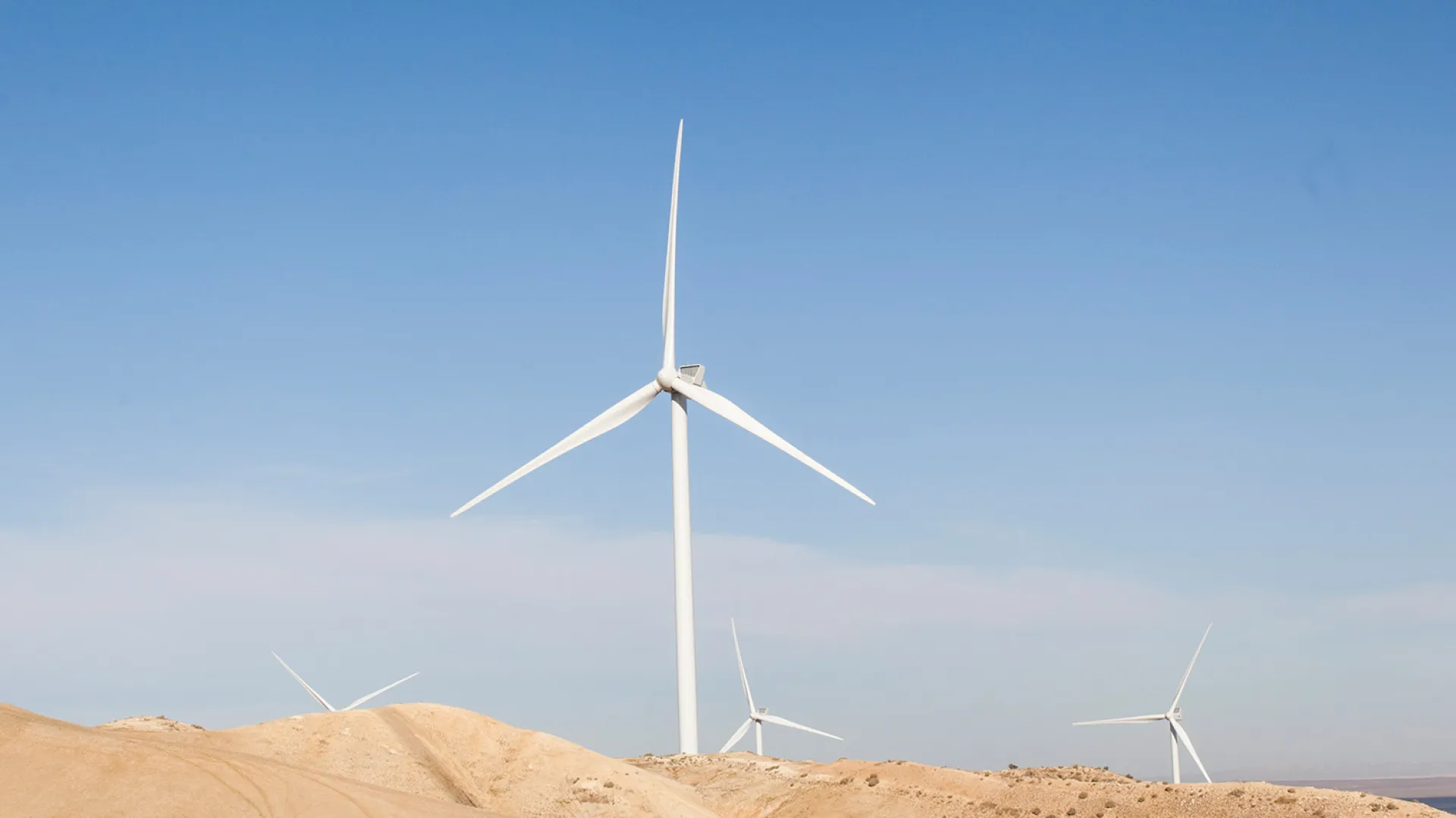 wind_banner_dune_web.jpg