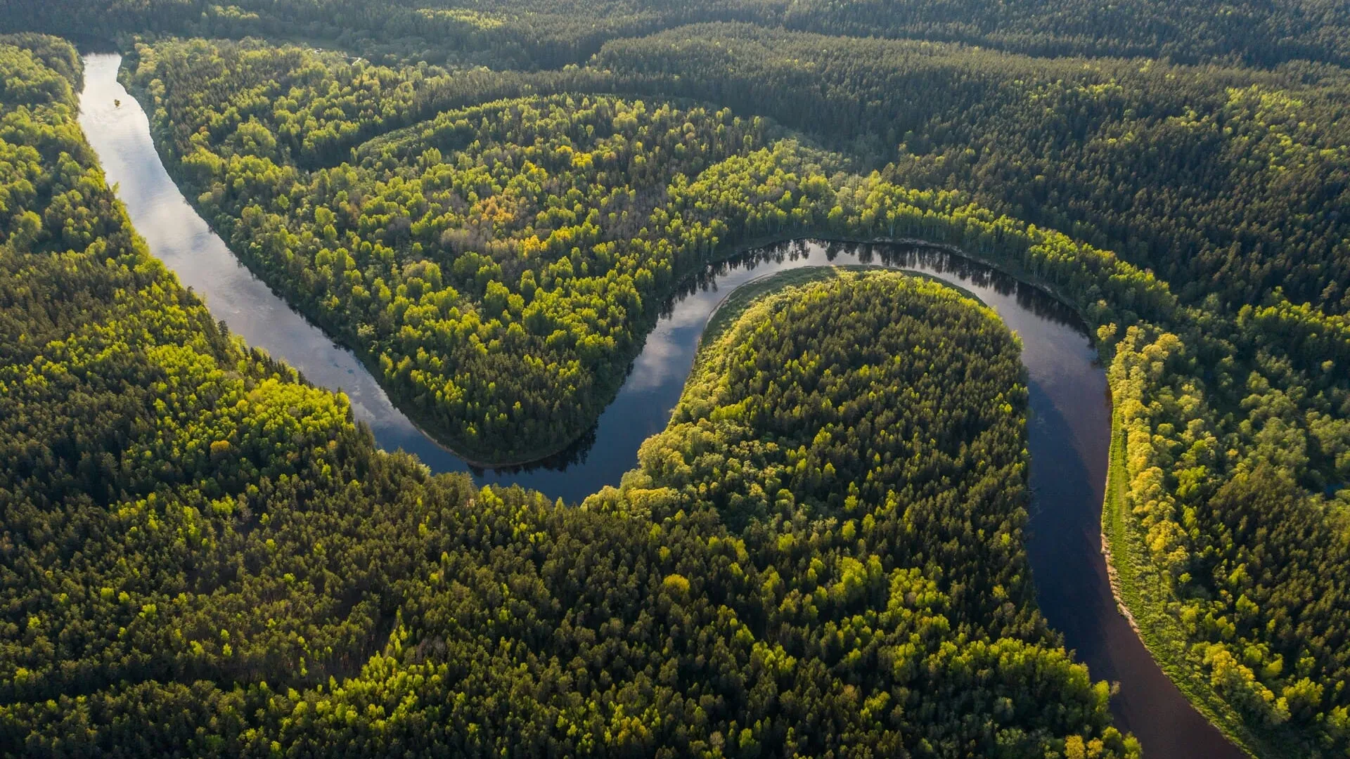 Amazon, Brazil
