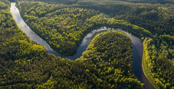 Amazon, Brazil