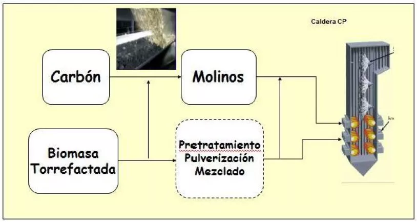 carbiotor2_0.jpg
