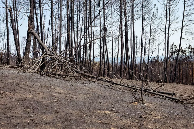 incendio.jpg