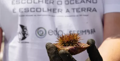 oceano%20%282%29_3.jpg