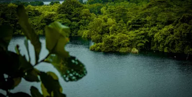 pulau_200kb_header.jpg