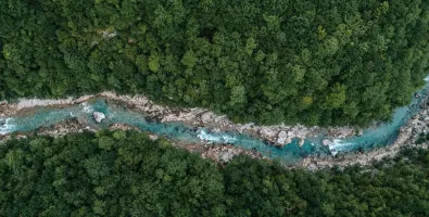 Nature_Stream_decarbonization.jpg