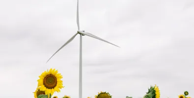 wind_turbine_losmirasoles01.jpg