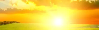 noticia2_0.jpg
