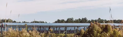 solar_banner_grass_web.jpg