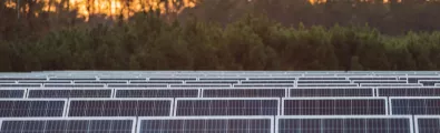 solar_banner_rows2_web.jpg