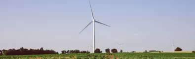 wind_banner_crop_web.jpg