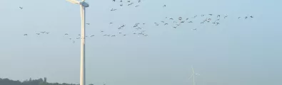 Native%20Fauna.jpg