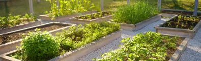 solar%20vegetable%20garden.jpg